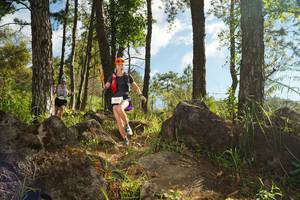 BIB: 
                            <button type="button" onclick="openModal(18915463)" class="btn btn-primary btn-sm float-right btn-popup" data-toggle="modal" data-target=".modal-high-quality">
                        <i class="fas fa-shopping-cart"></i> Add to Cart
                    </button>
                                            <button type="button" onclick="isThisMe(18915463, true)" class="btn btn-success btn-sm float-right btn-popup btn-isme hidden" data-toggle="tooltip" data-placement="bottom" title="นี่คือรูปของคุณใช่ไหม คลิกที่นี่เพื่อเอาเข้าอัลบั้ม">
                        <i class="fas fa-plus"></i> Add to album
                    </button>
                    <button type="button" onclick="isThisMe(18915463, false)" class="btn btn-warning btn-sm float-right btn-popup btn-isnotme hidden">
                        <i class="fas fa-ban"></i> Remove from album
                    </button>